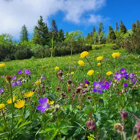 宾馆 Christophorushuette Am Feuerkogel 埃本湖